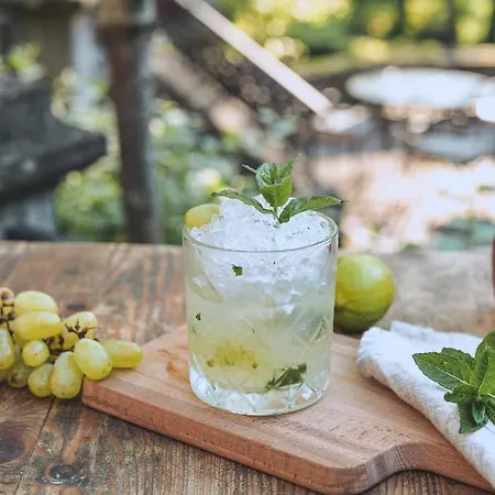 Savka 4* Vrnjačka Banja