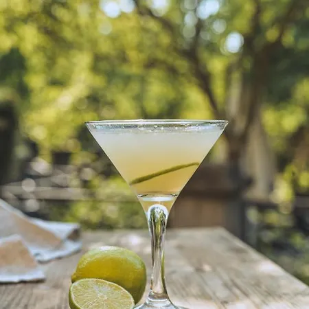 Savka Apart-hotel Vrnjačka Banja